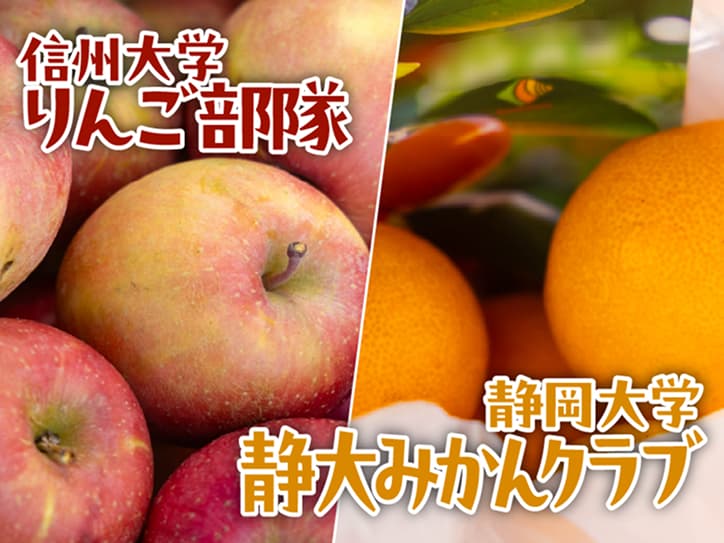 フルーツマーケット