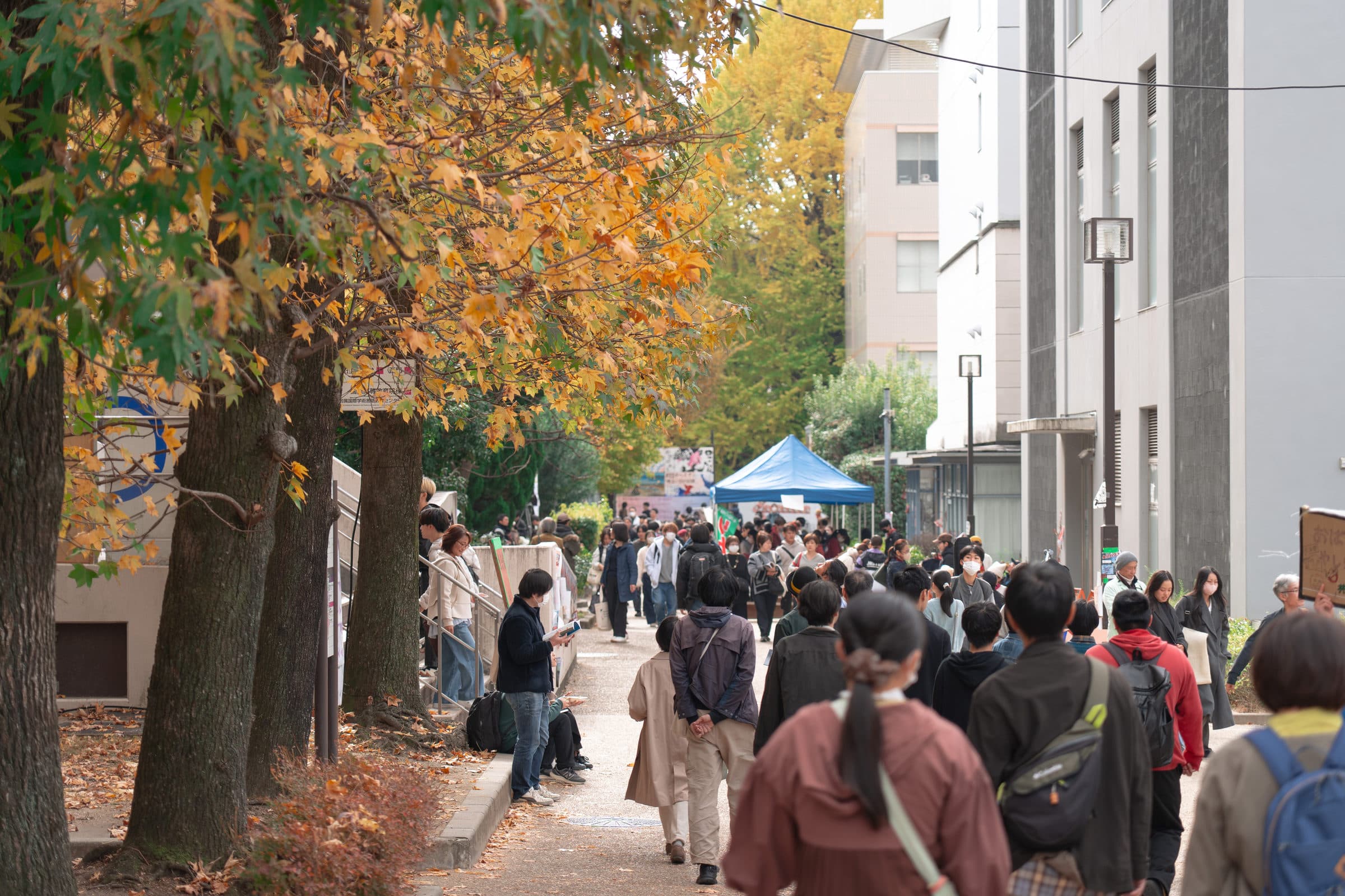 紅葉の並木道を歩く来場者たち